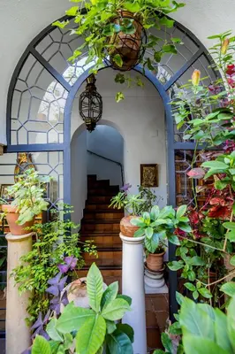Jardín al aire libre en Apartamento con patio cordobés en San Basilio & Parking