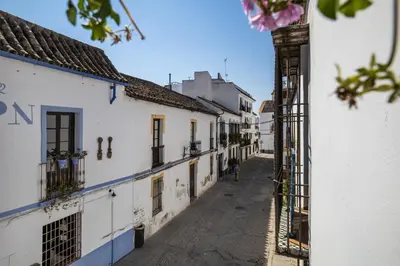 El barrio de los alrededores o un barrio cerca de este apartamento