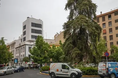 El barrio de los alrededores o un barrio cerca de este apartamento