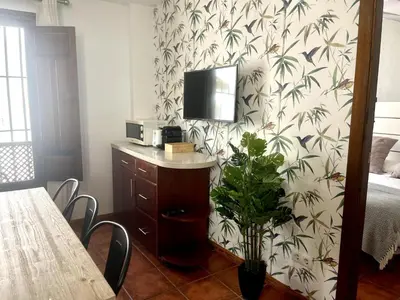 Una televisión o centro de entretenimiento en RIBERA SUITE CÓRDOBA