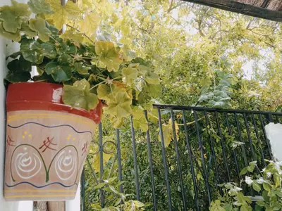Jardín al aire libre en La Casita Verde Valle
