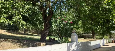 Jardín al aire libre en Casa Rural Santa Clara
