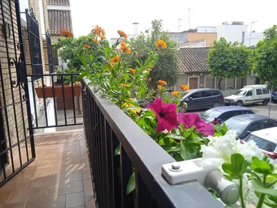 Jardín al aire libre en Casa Violeta