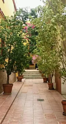 Jardín al aire libre en Guadalquivir Alameda de Hércules. Centro Histórico