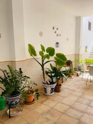 Plano de Patio de Los Barberos 2