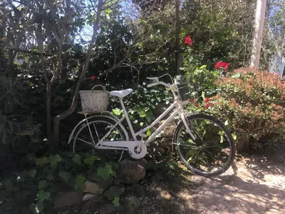 Jardín al aire libre en Casa Rural La ilusion