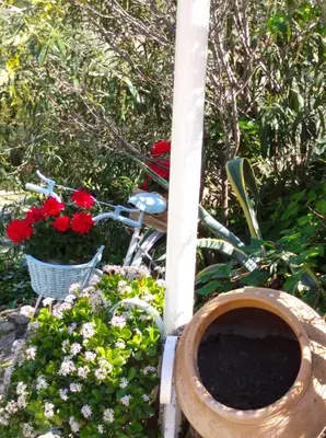 Jardín al aire libre en Casa Rural La ilusion