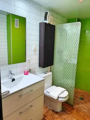 Un baño de Amplio y Moderno Apartamento Lorenzo Ferreira