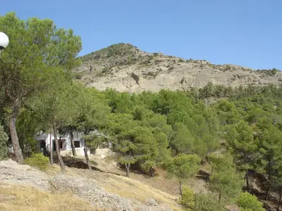 Paisaje cerca de este apartamento