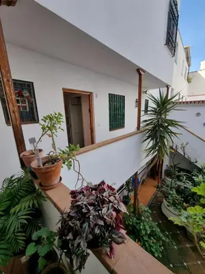 Jardín al aire libre en Vivienda Turística en Alcázar Viejo San Basilio