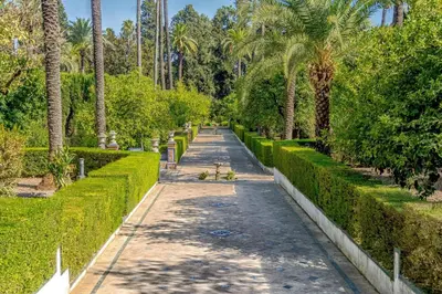 Jardín al aire libre en Canarios Sweet Home