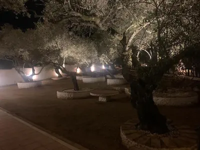 Jardín al aire libre en El Rincón del Brillante