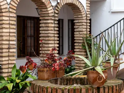 Jardín al aire libre en La Casita del Museo