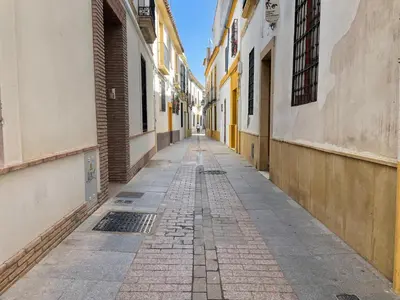El barrio de los alrededores o un barrio cerca de este apartamento