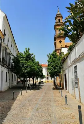 El barrio de los alrededores o un barrio cerca de este apartamento