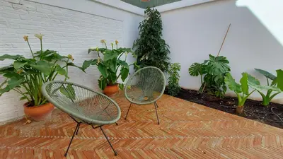 Jardín al aire libre en Patio del Lino