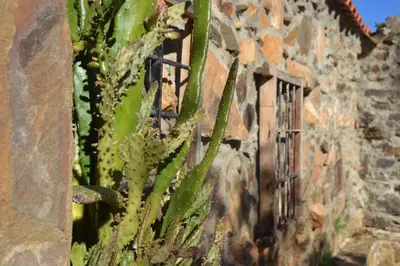 Plano de Nidal del Búho Casa Rural