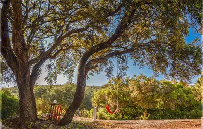 Jardín al aire libre en Nice Home In Estepa With Wifi