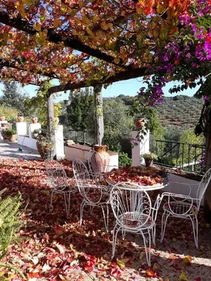 Jardín al aire libre en Villa Botero
