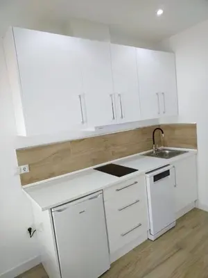 Una cocina o zona de cocina en CASTRO Suites Osuna