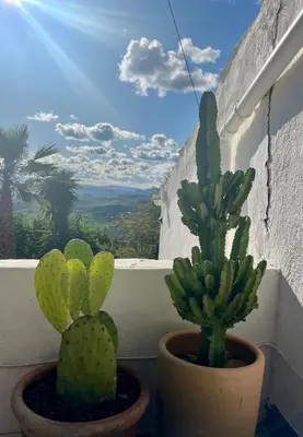 Plano de Finca El Sueño Andaluz