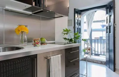 Una cocina o zona de cocina en Apartamento en monumento histórico nacional Corral del Conde-duque de Olivares