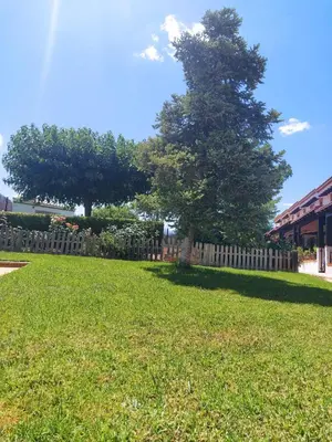 Jardín al aire libre en Casa Rural Alamillo