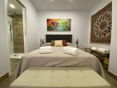 Cama o camas de una habitación en LA SUITE DES COULEURS - Apartamento en pleno centro de Córdoba