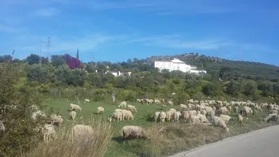 Paisaje cerca de este apartamento