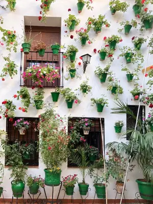 Jardín al aire libre en Apartamentos El Olivo