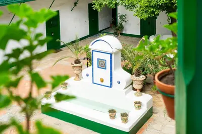 Jardín al aire libre en Alohamundi Alcázares