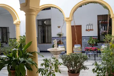 Jardín al aire libre en Precioso Loft en Centro Histórico de Córdoba.