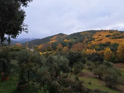 Paisaje cerca de esta casa o chalet