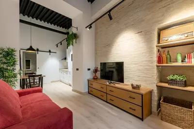 Una televisión o centro de entretenimiento en Berenguela Setas Lofts