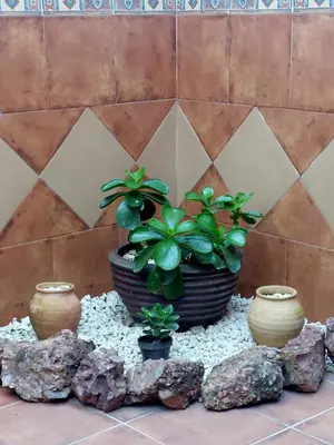 Plano de La Plazuela, casa andaluza con patio.