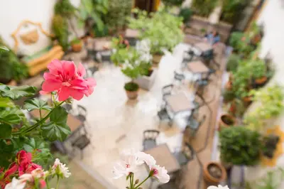 Jardín al aire libre en Eurostars Maimonides