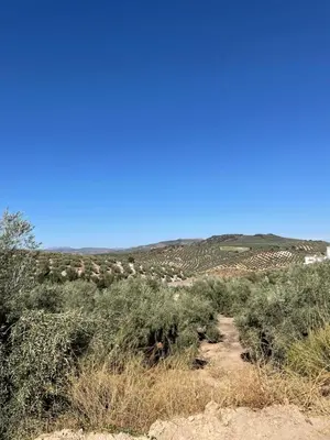 Paisaje cerca de esta casa o chalet