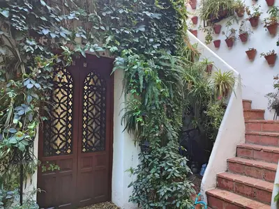 Jardín al aire libre en Apartamento Dama de Noche