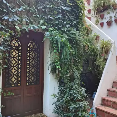 Apartamento Dama de Noche