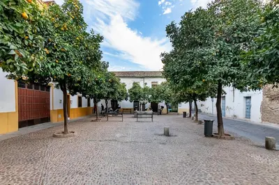 Plano de BHost - Regina VIII