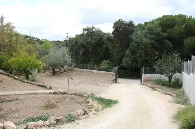 Paisaje cerca de esta casa o chalet