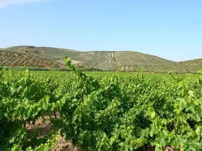 Paisaje cerca de este apartamento