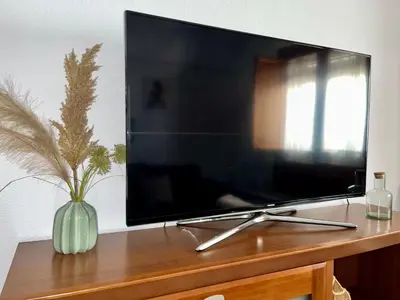 Una televisión o centro de entretenimiento en Apartamento Obispo Fitero