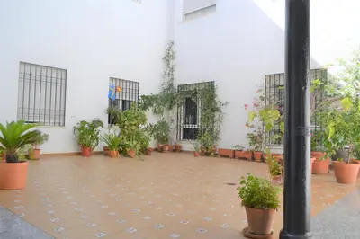 Jardín al aire libre en SunShine San Pablo