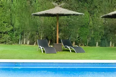 Piscina en o cerca de AC Hotel Sevilla Fórum by Marriott