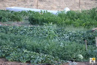 Jardín al aire libre en Cortijo Huerta Galindo