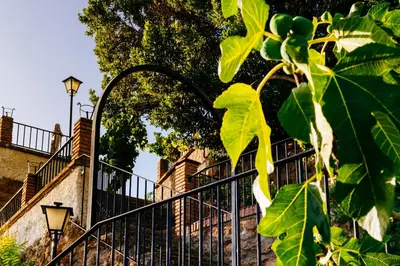Jardín al aire libre en La Atalaya