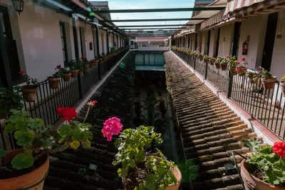 Plano de Apartamento con encanto en patio sevillano (203)