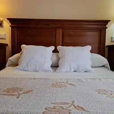 Hotel Plateros