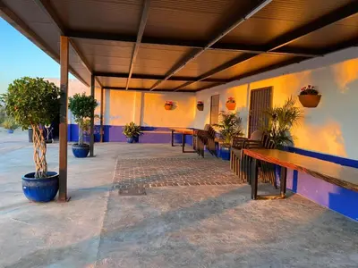 Plano de La casa del olivo
